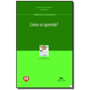 COMO SE APRENDE? - FORMAÇAO PEDAGOGICA - FAIRSTEIN